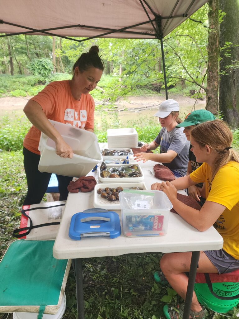 Mussels field lab